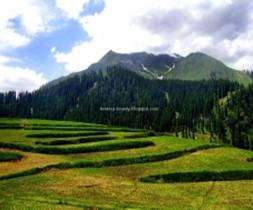 Pakistan: Lalazar often termed as most beautiful place on earth